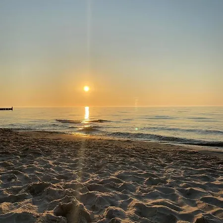 Barbie & Ken - Na Ostatnim Pietrze W Dominikana & Sianożęty